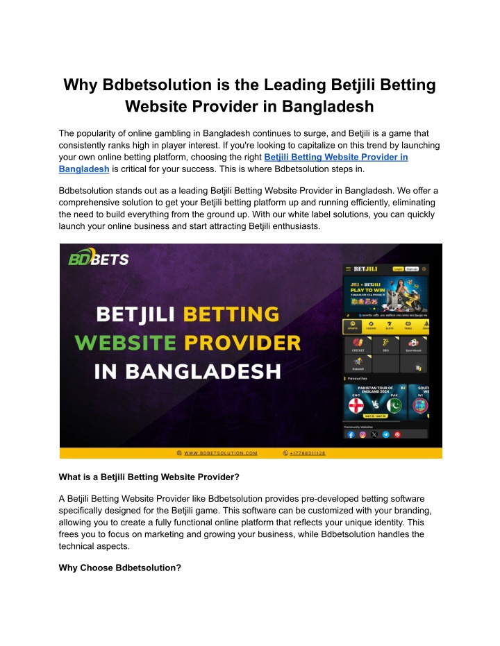 why bdbetsolution is the leading betjili betting