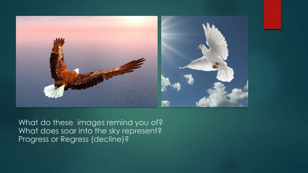 what do these images remind you of what does soar