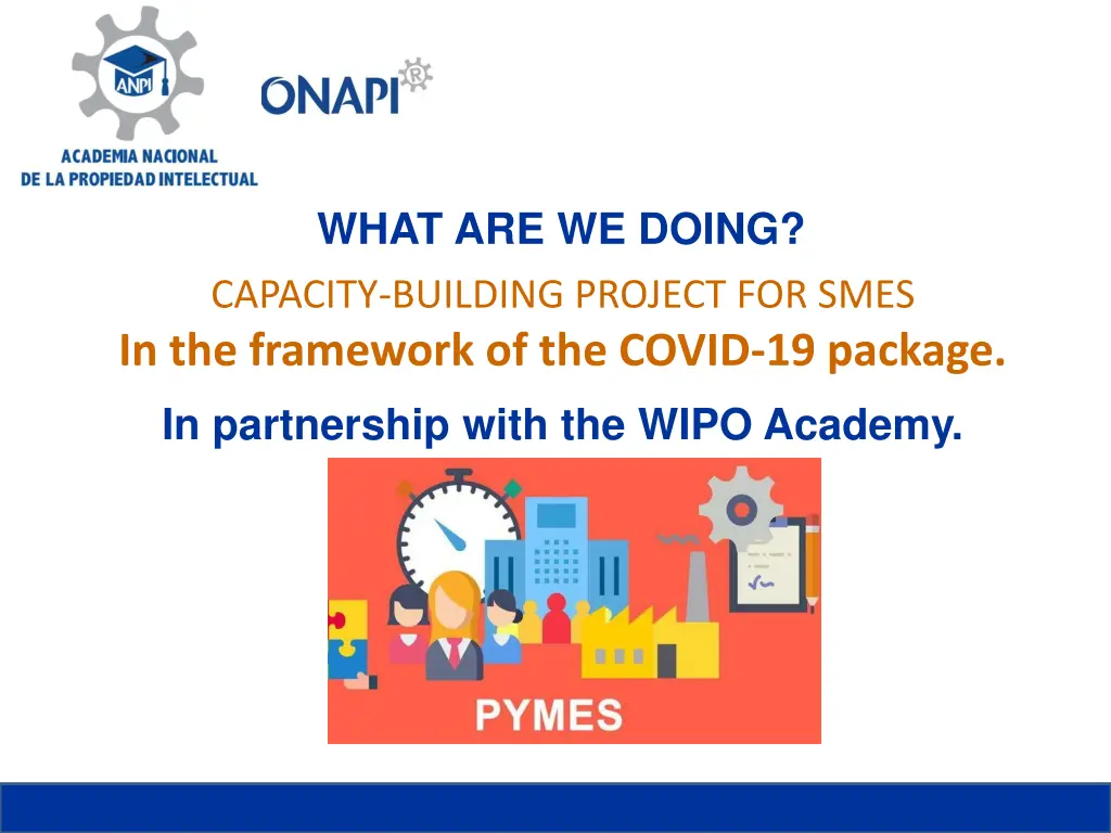 what are we doing capacity building project