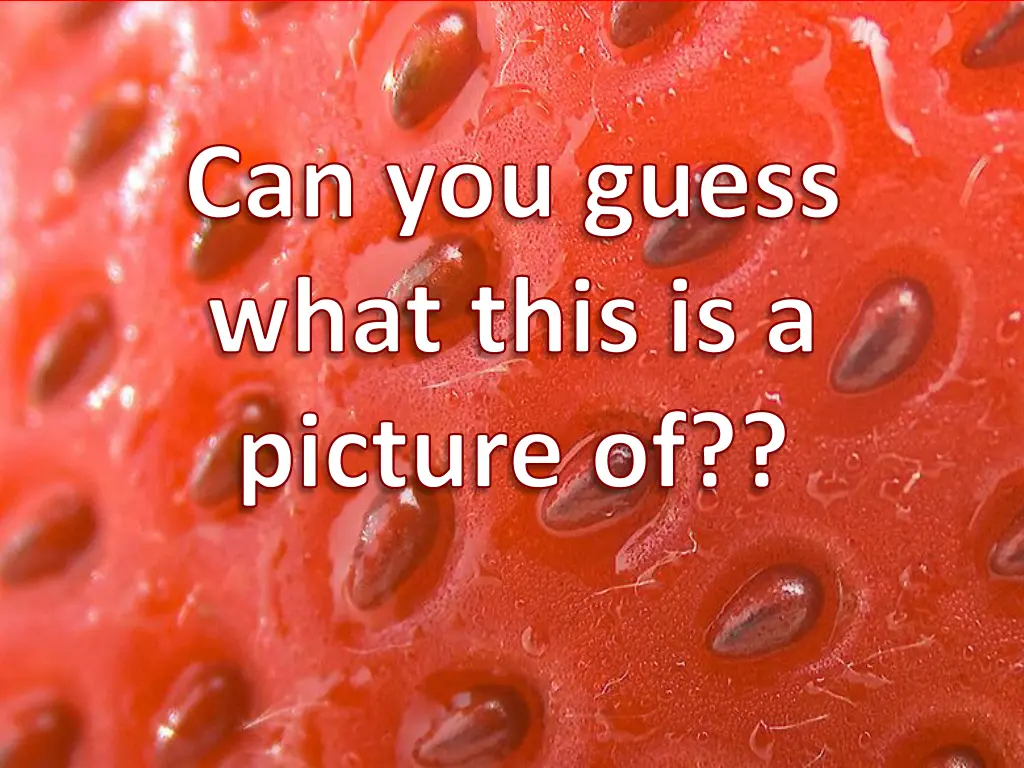 can you guess what this is a picture of