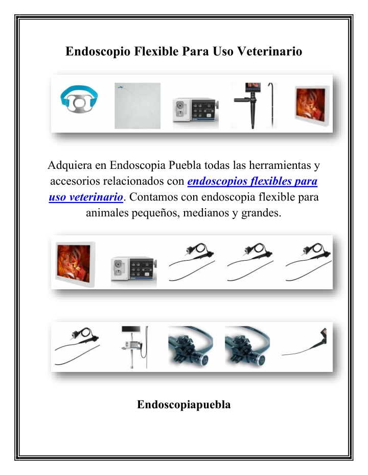 endoscopio flexible para uso veterinario