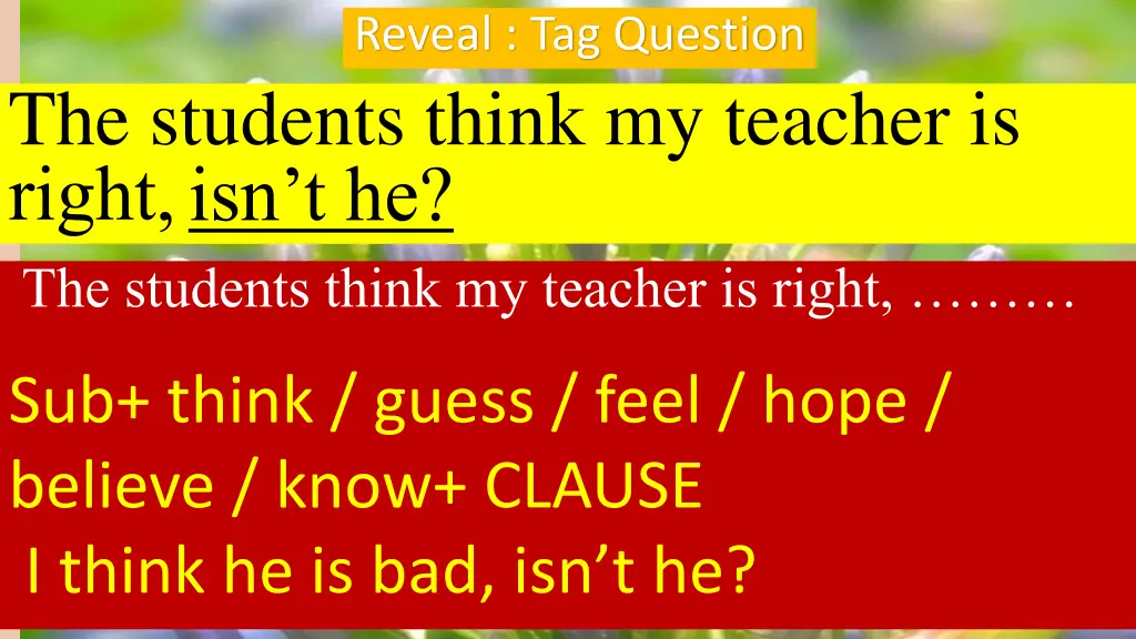 reveal tag question 1