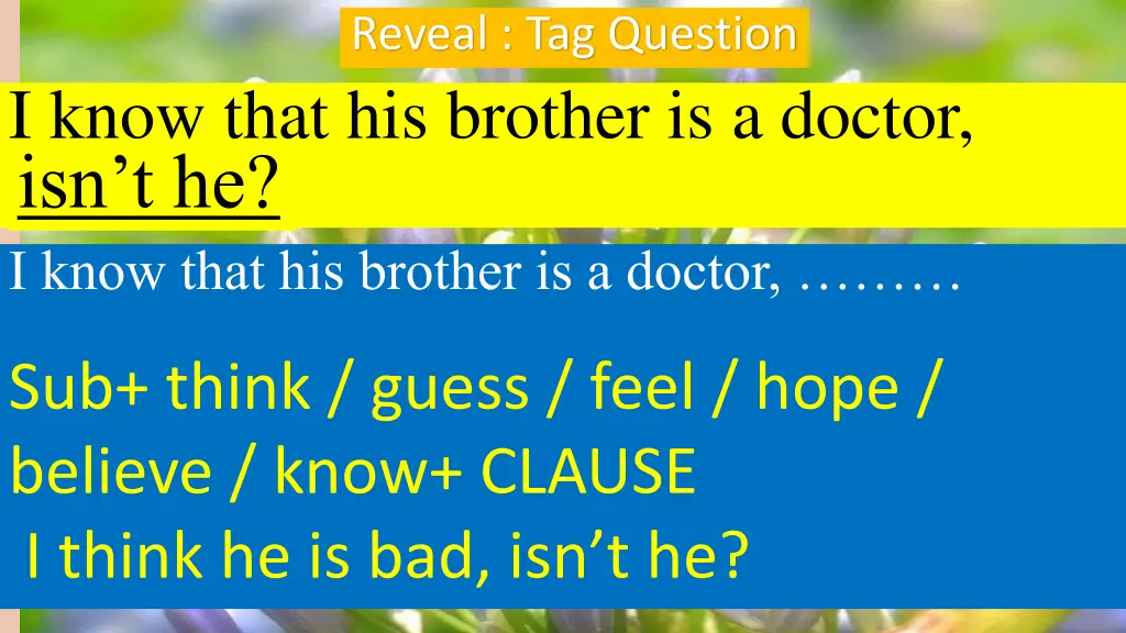 reveal tag question 2