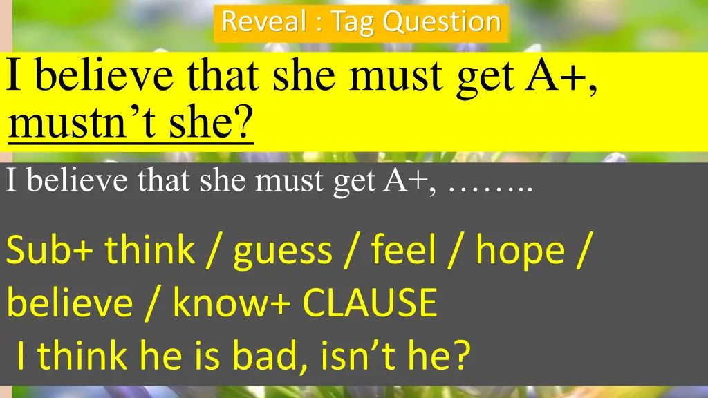 reveal tag question 3