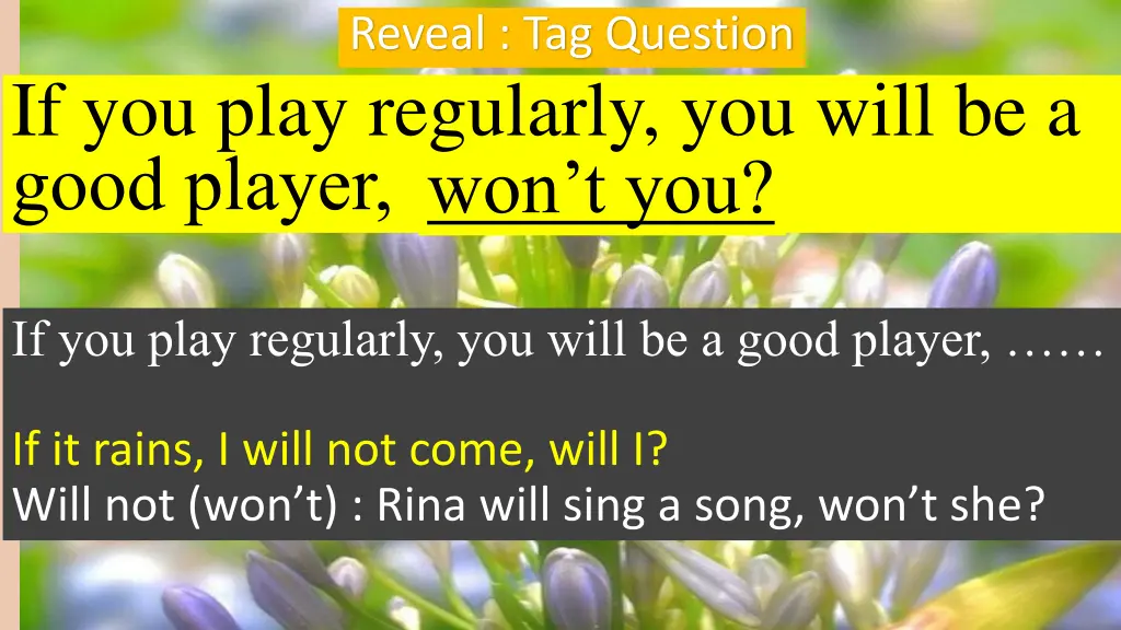 reveal tag question 6