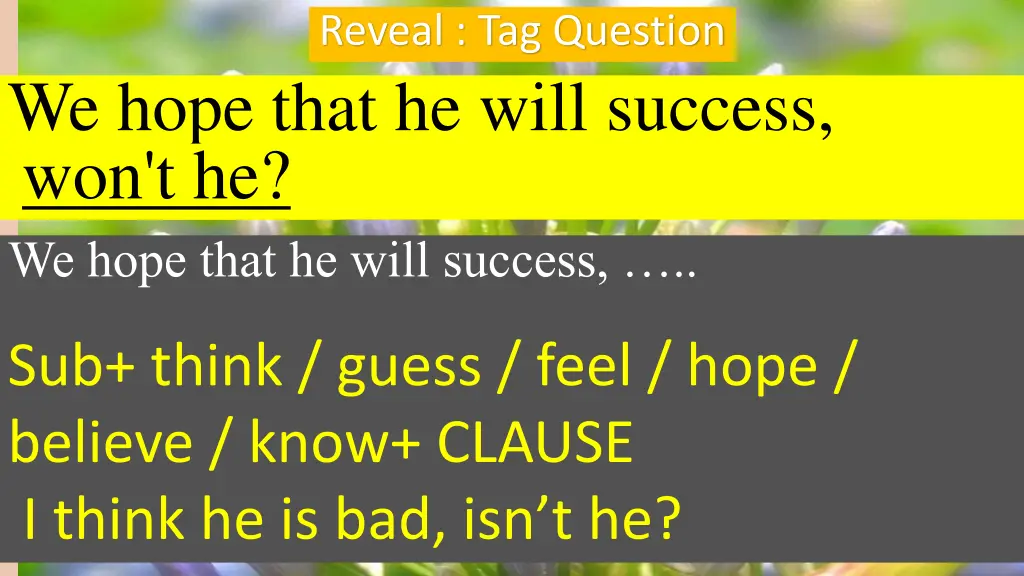 reveal tag question