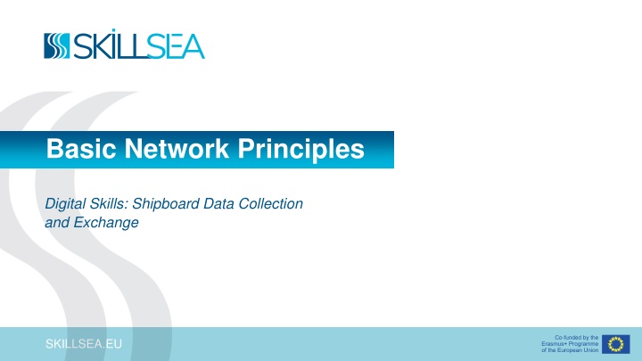 basic network principles