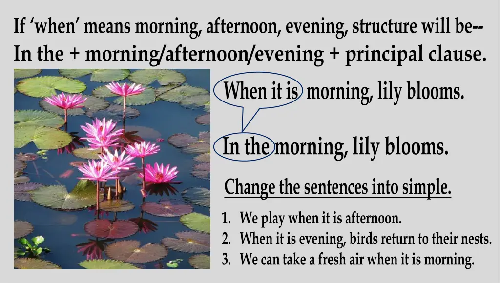 if when means morning afternoon evening structure