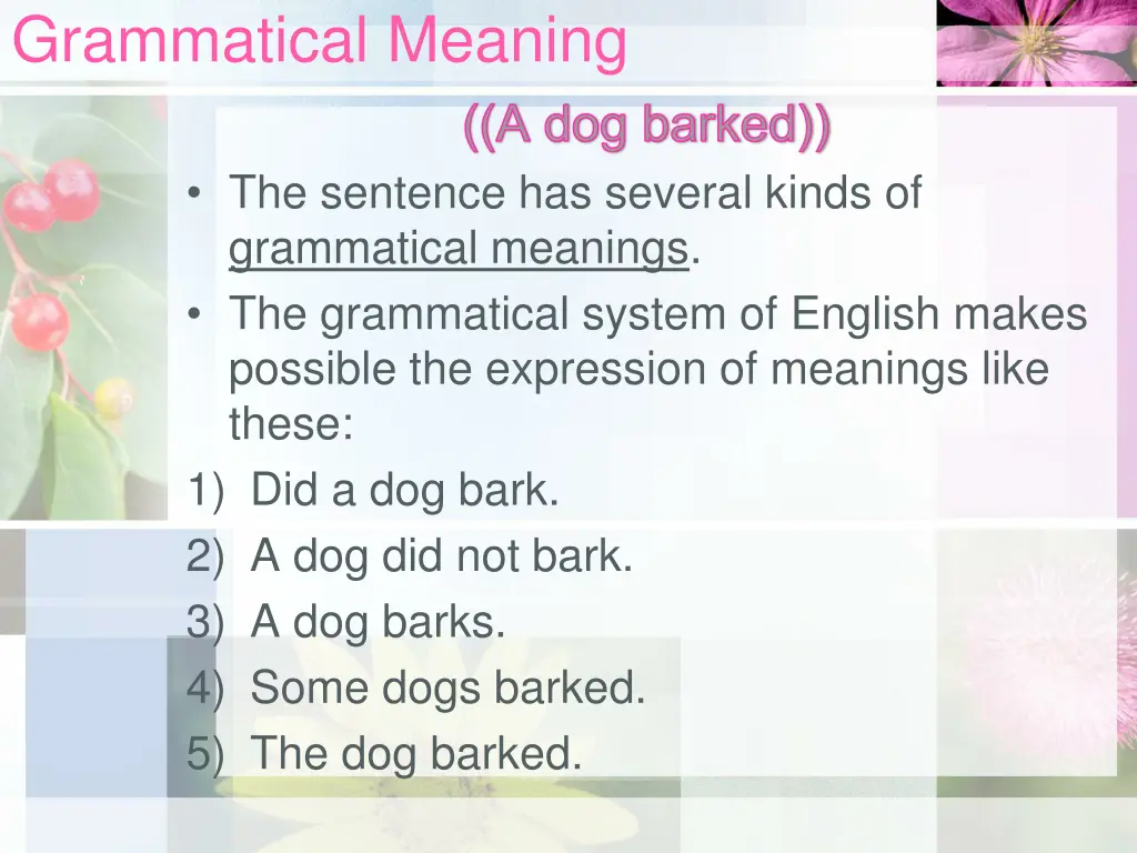 grammatical meaning