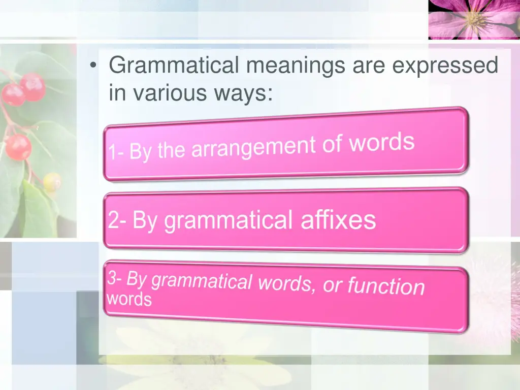 grammatical meanings are expressed in various ways