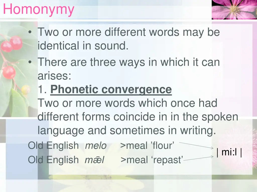 homonymy