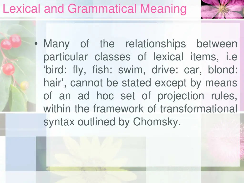 lexical and grammatical meaning 4