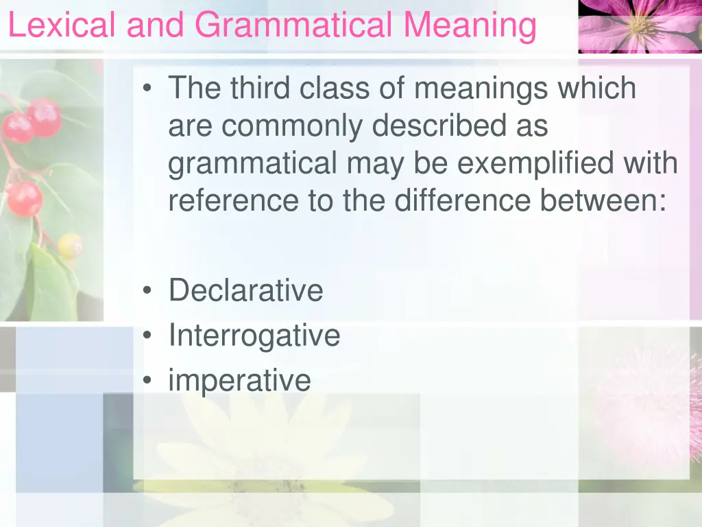 lexical and grammatical meaning 5