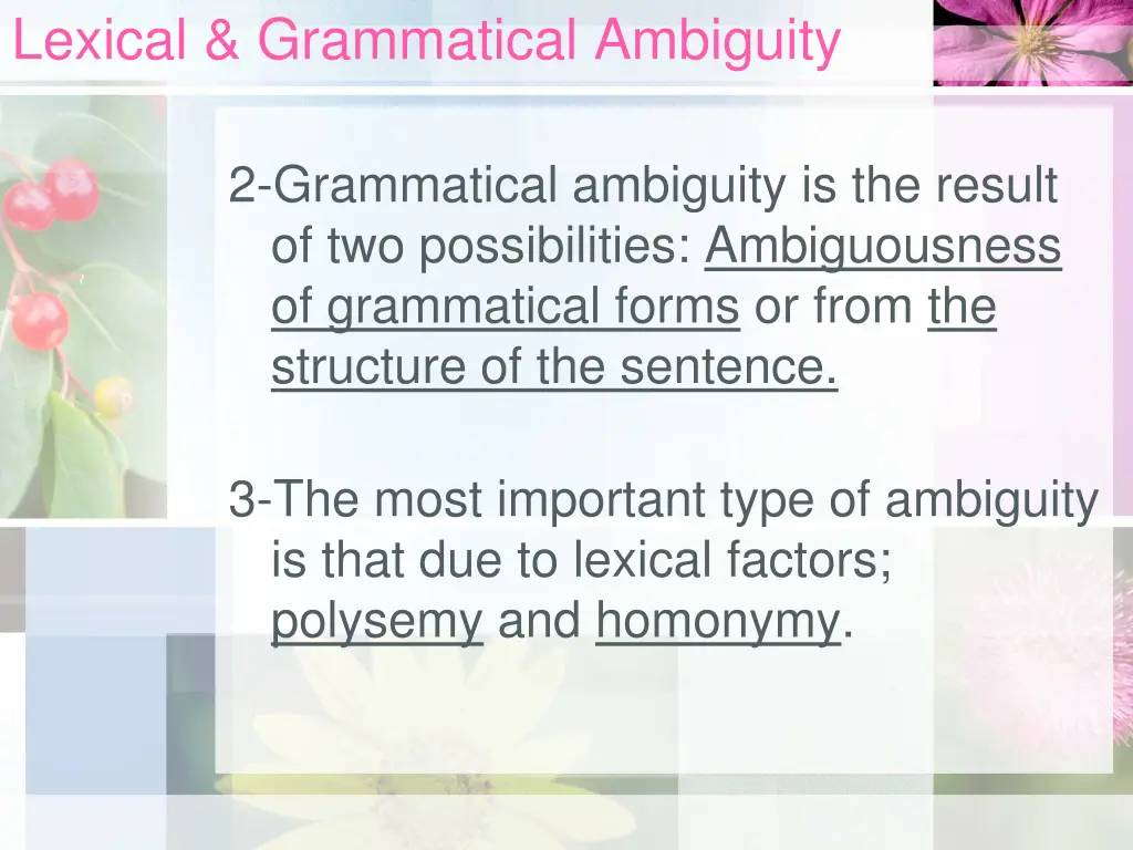 lexical grammatical ambiguity 1