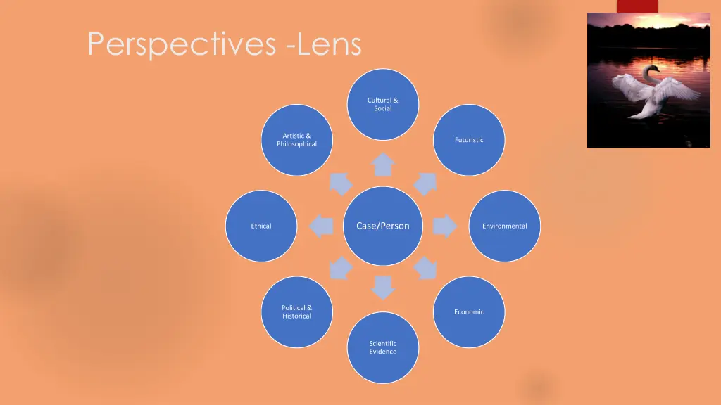 perspectives lens