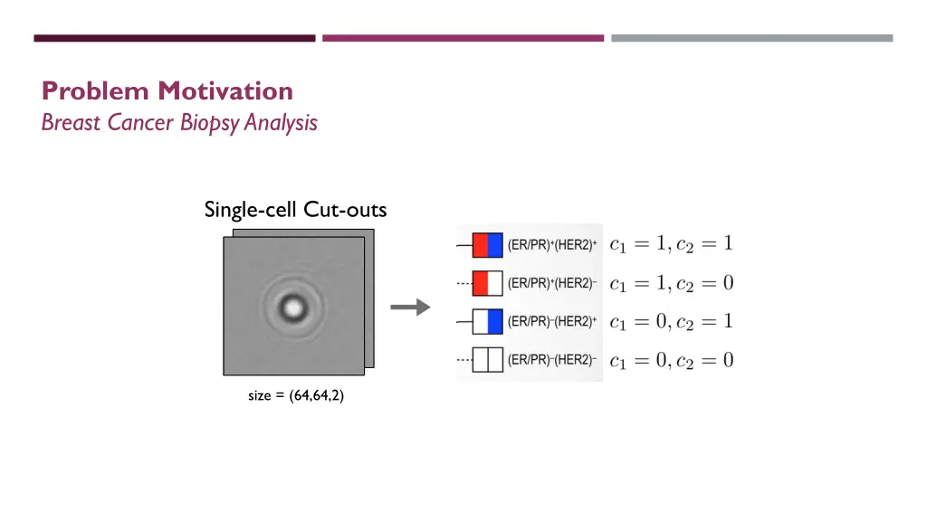 problem motivation breast cancer biopsy analysis 2