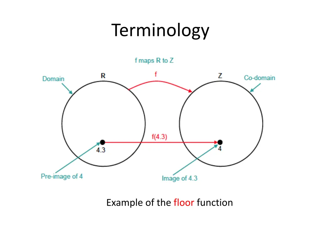 terminology