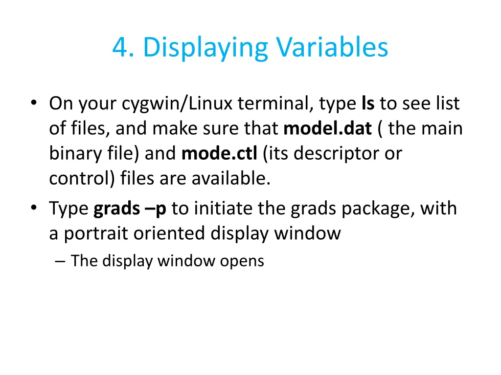 4 displaying variables