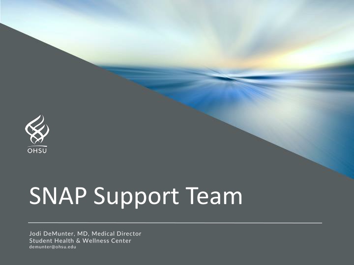 snap support team