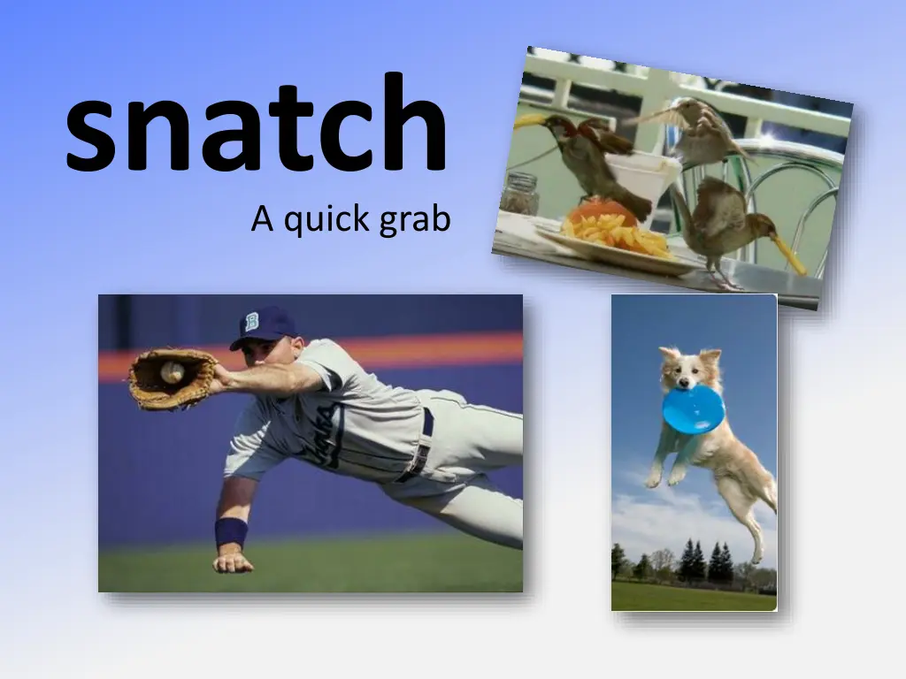 http www funnybirdsite com pictures grab