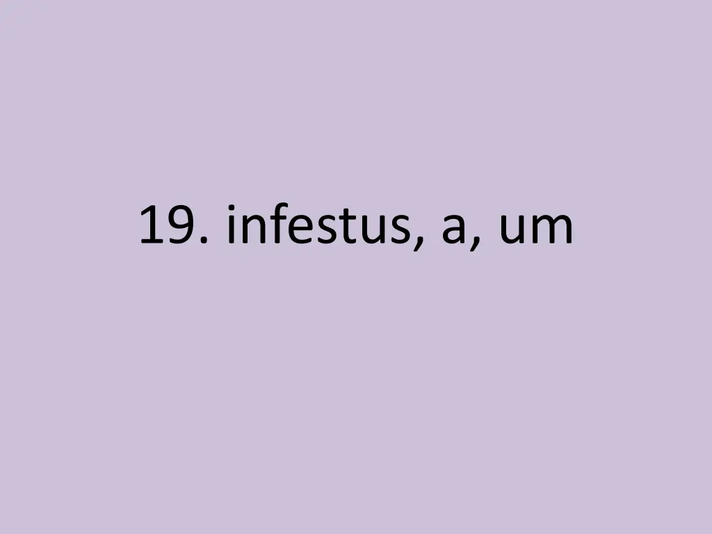 19 infestus a um