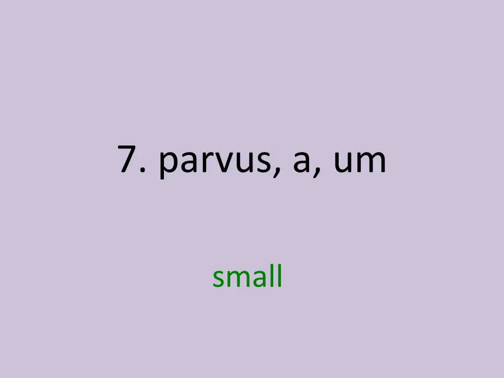 7 parvus a um 1