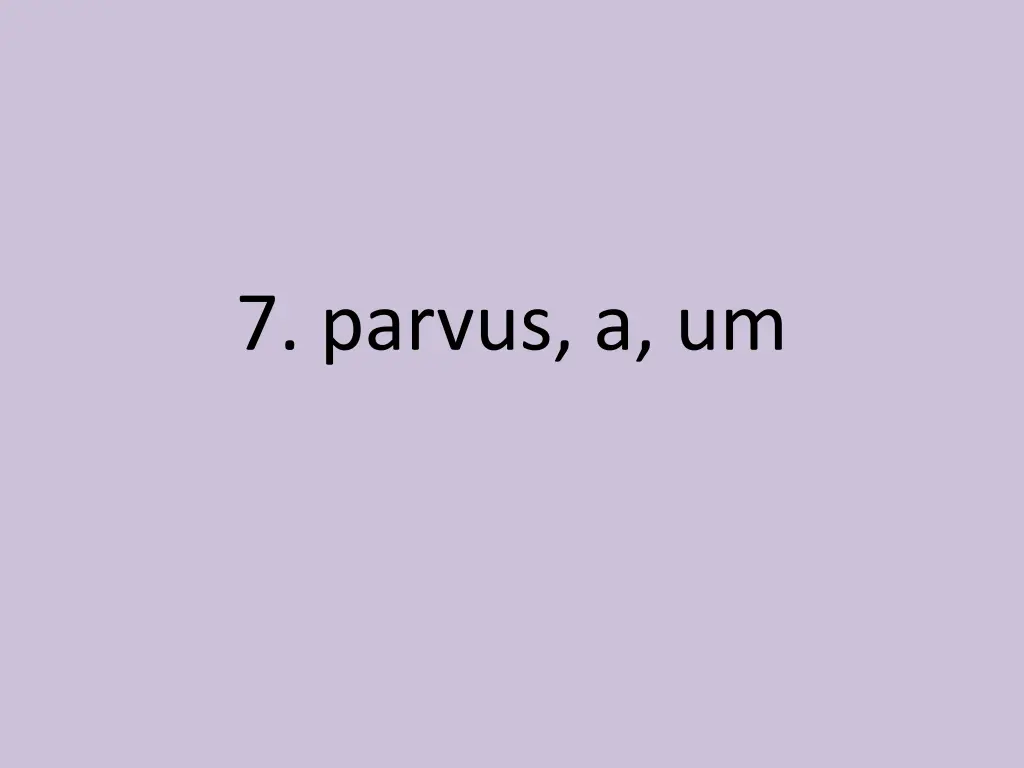 7 parvus a um