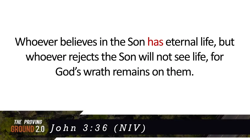 whoever believes in the son has eternal life