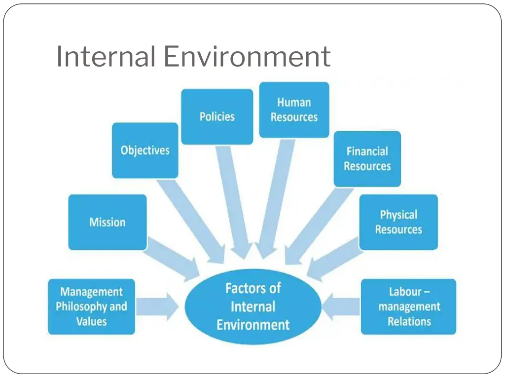 internal environment