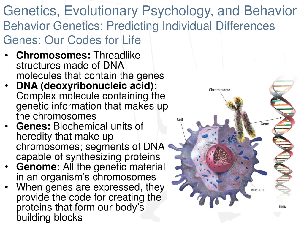 genetics evolutionary psychology and behavior 1