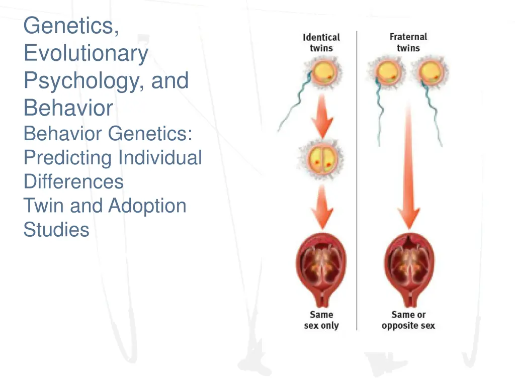 genetics evolutionary psychology and behavior 3