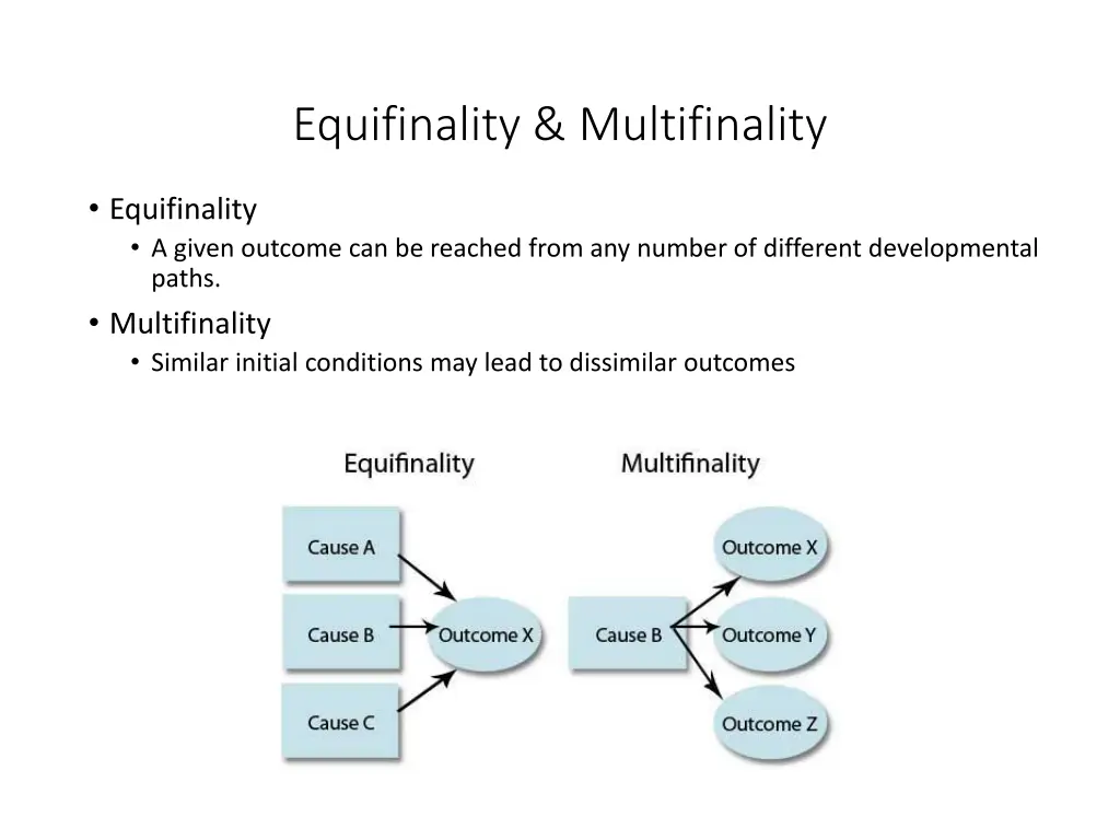 equifinality multifinality