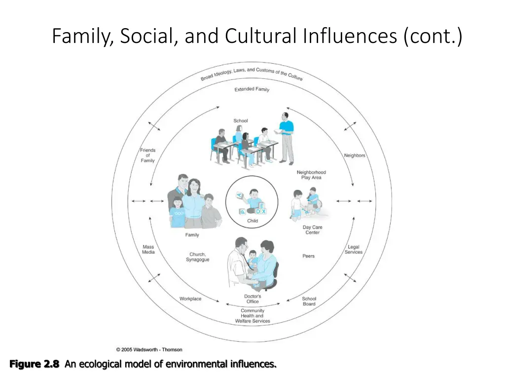 family social and cultural influences cont