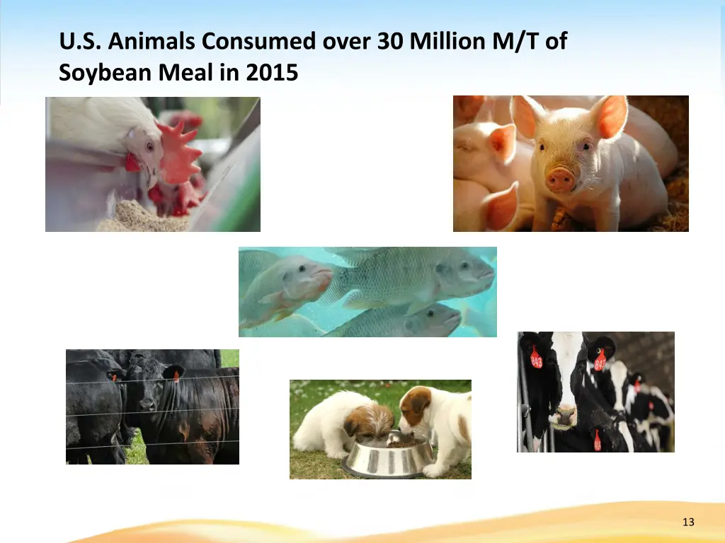 u s animals consumed over 30 million