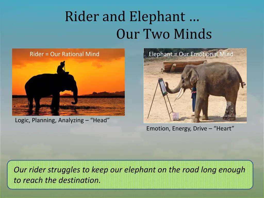 rider and elephant our two minds