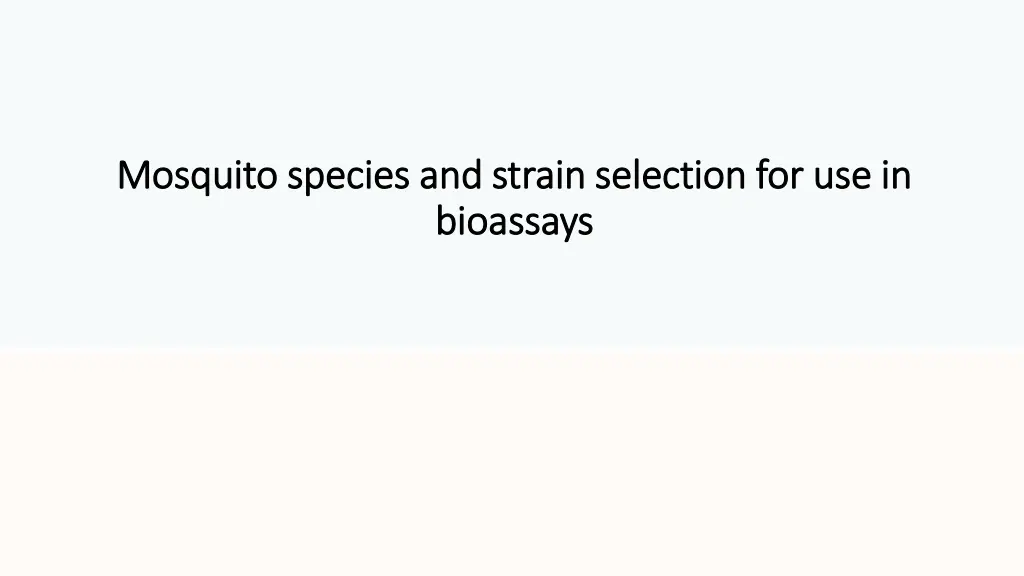 mosquito species and strain selection