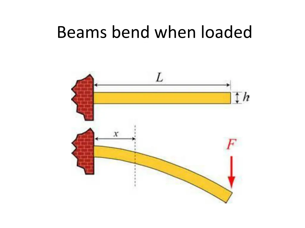 beams bend when loaded