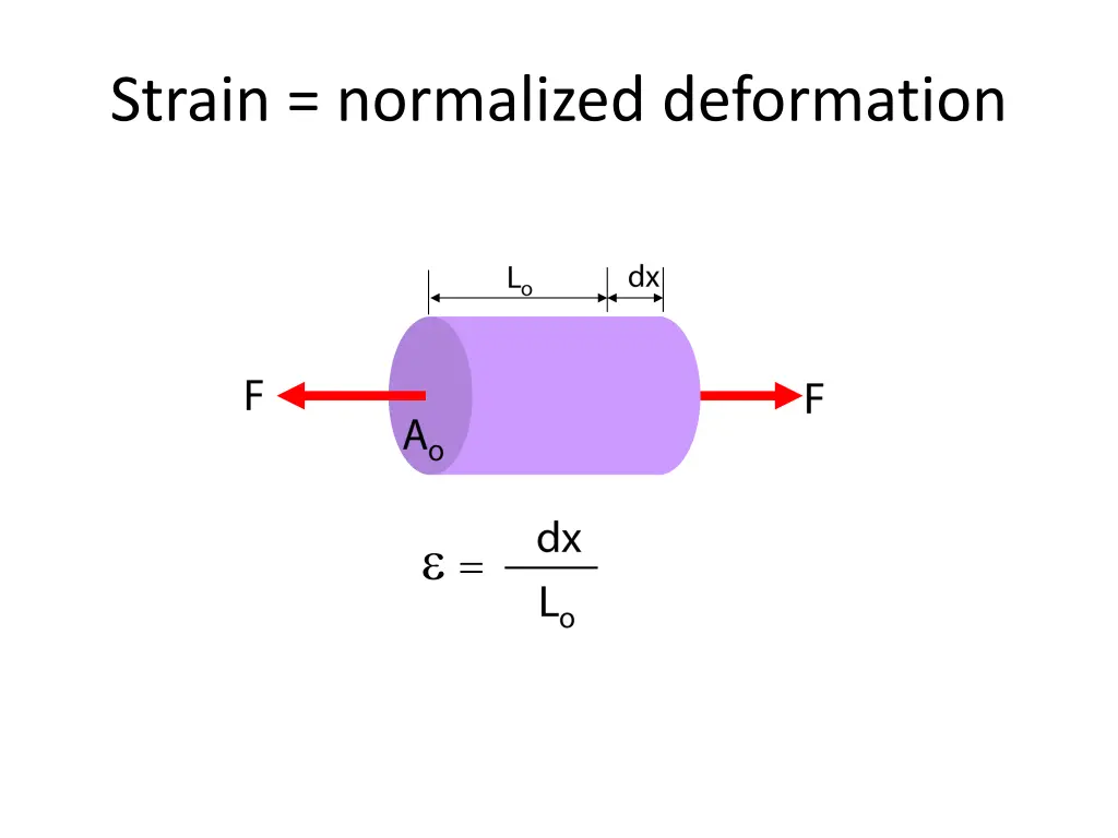 strain normalized deformation