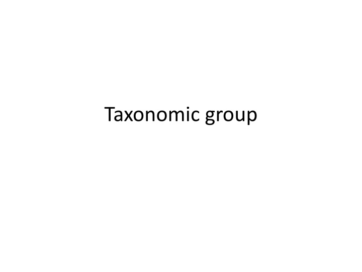 taxonomic group