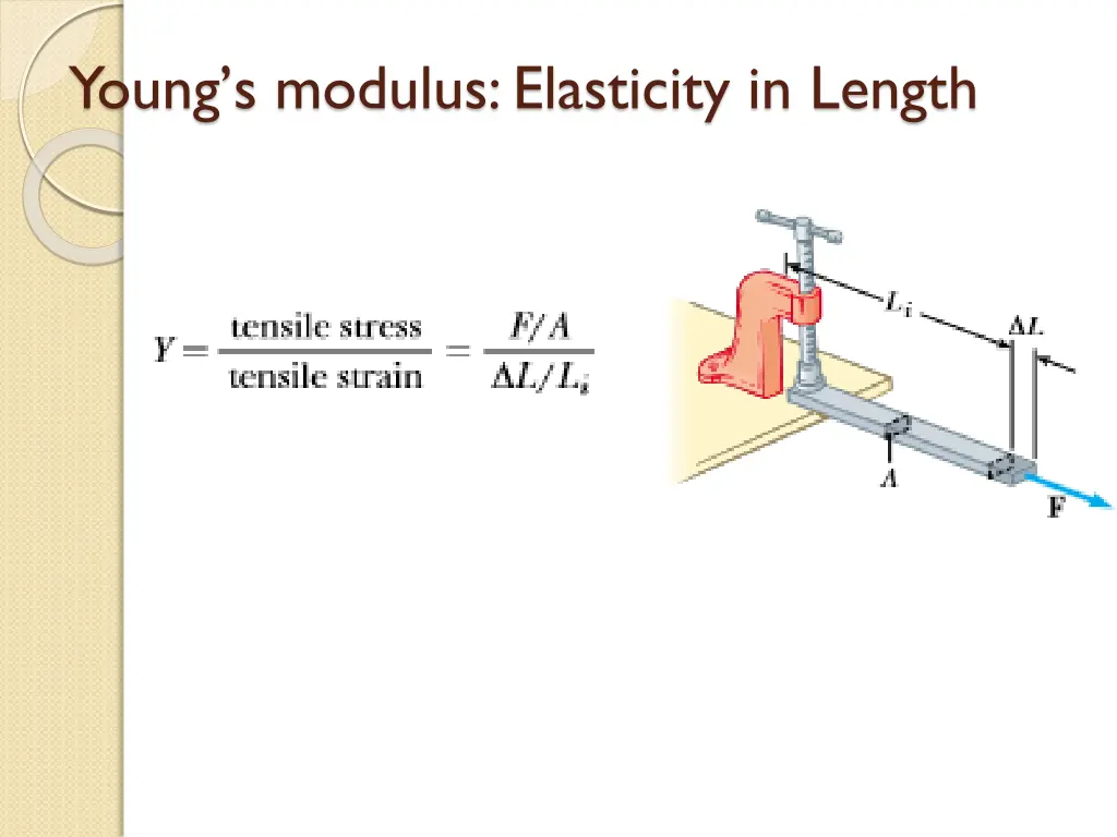 young s modulus elasticity in length