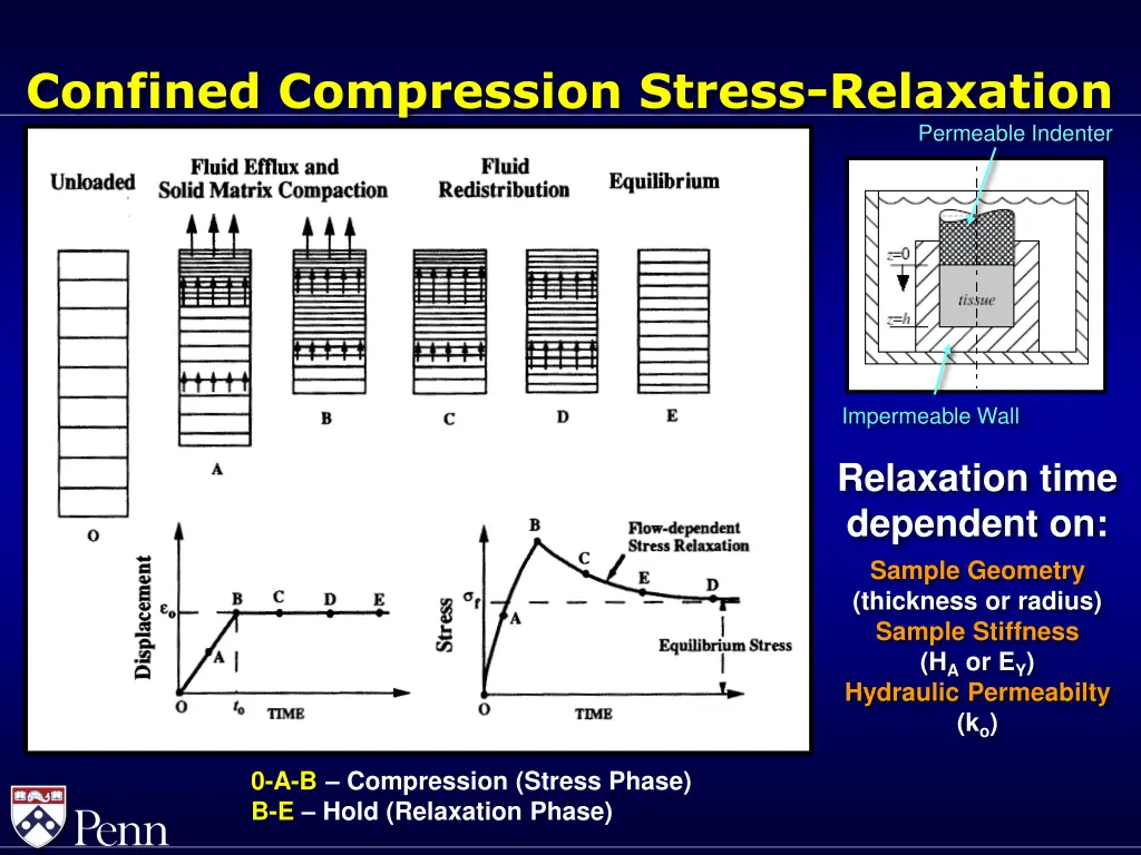 confined compression stress relaxation