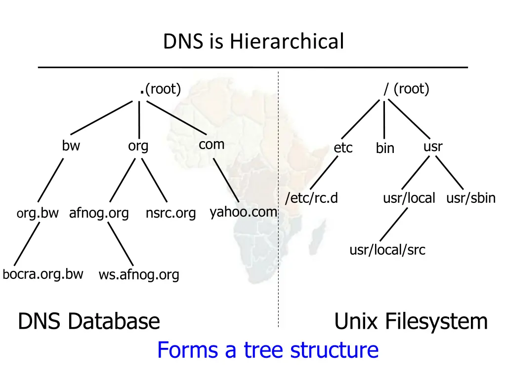 dns is hierarchical