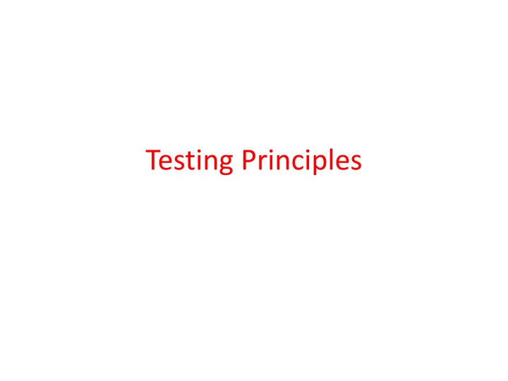 testing principles