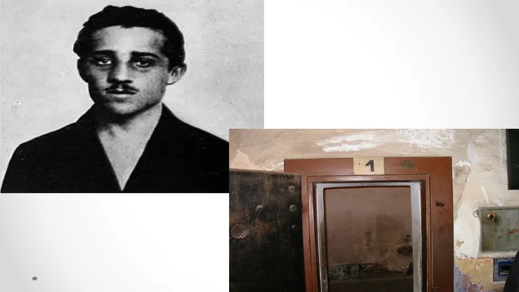 file gavrilo princip cell jpg