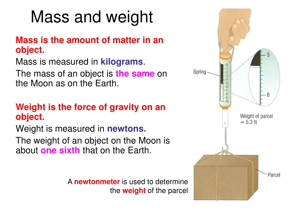 mass and weight