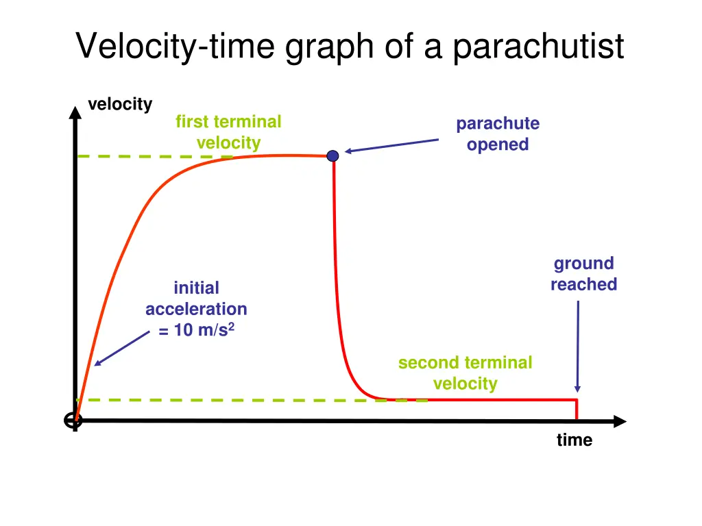 velocity time graph of a parachutist