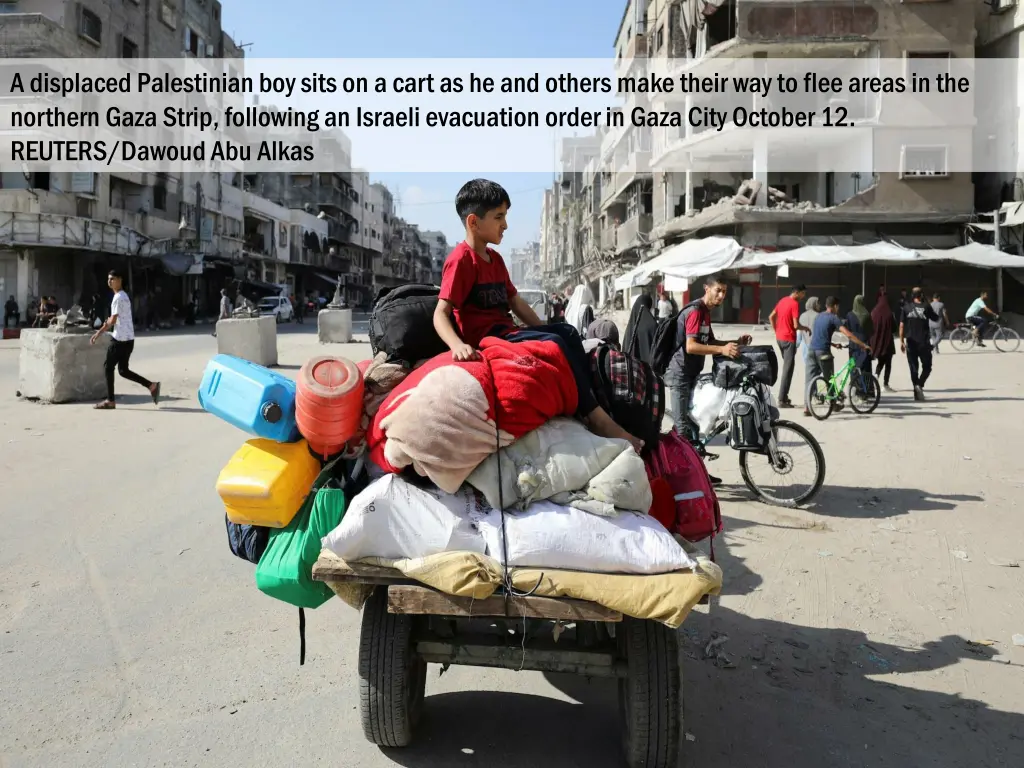 a displaced palestinian boy sits on a cart