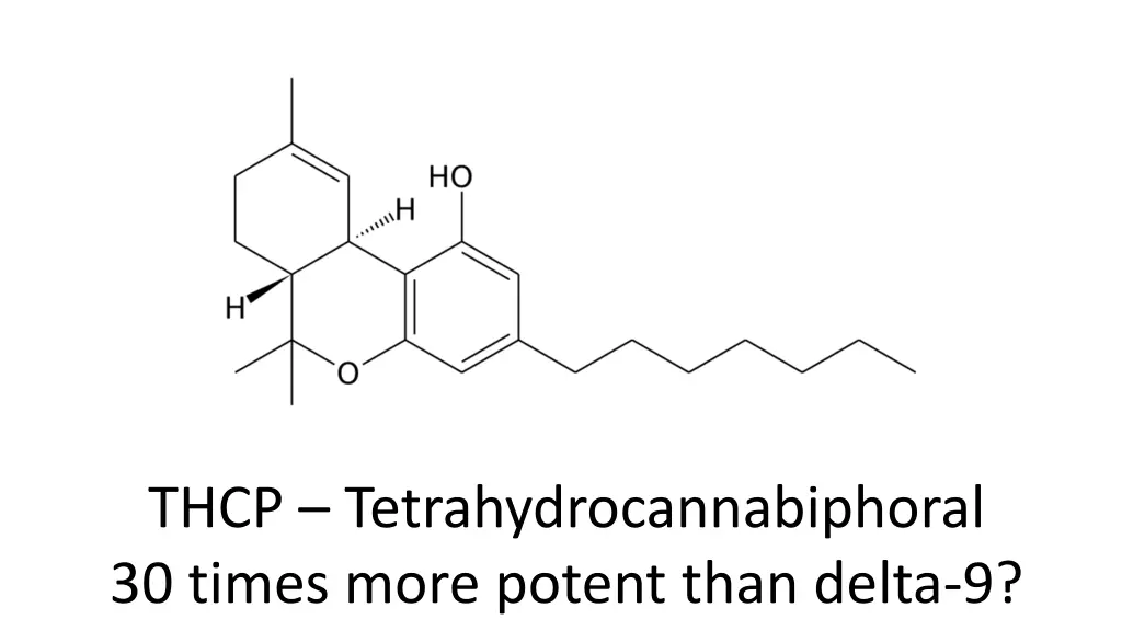 thcp tetrahydrocannabiphoral 30 times more potent