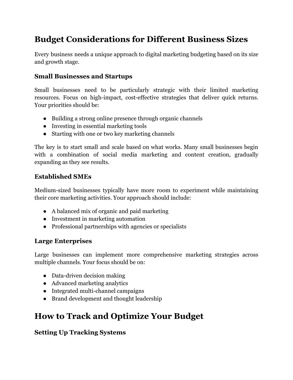 budget considerations for different business sizes