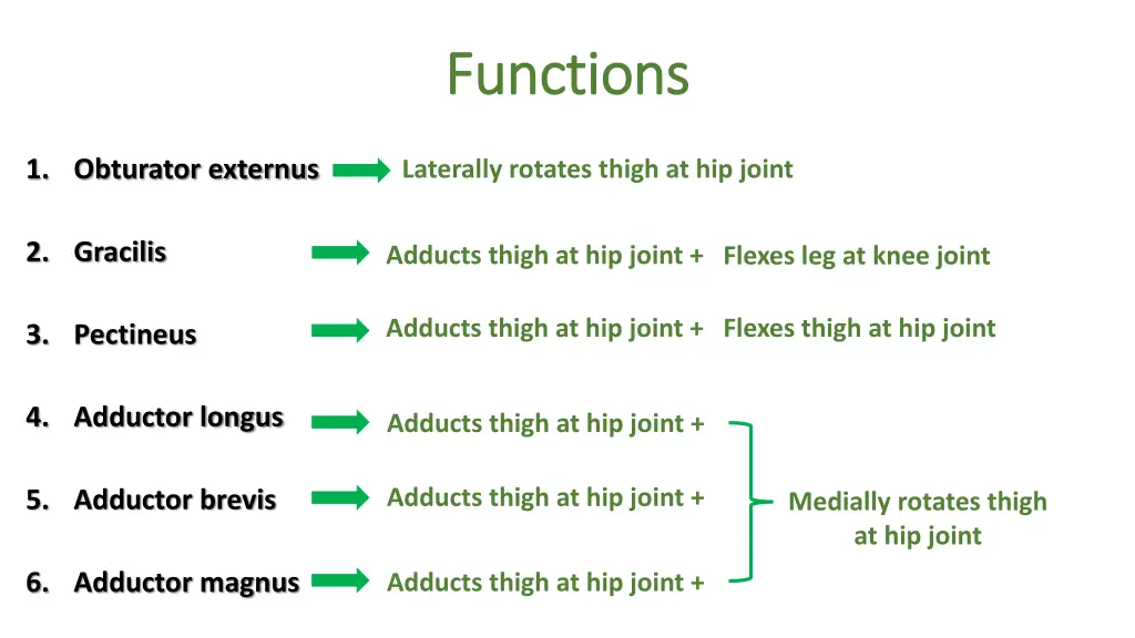 functions functions